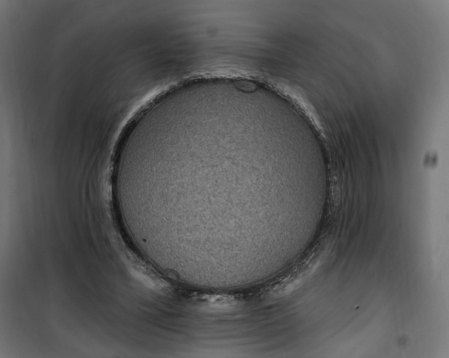 X0000100500395200806201719