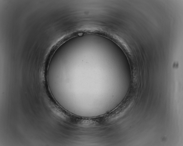 X0000100500399200806201719