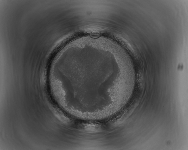 X0000100500400200806201719