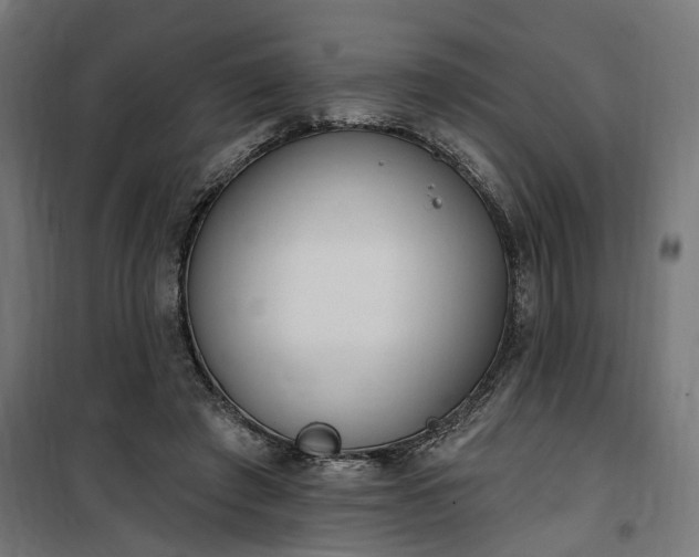 X0000100500401200806201719