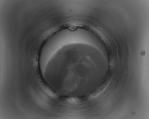 X0000100500402200806201719