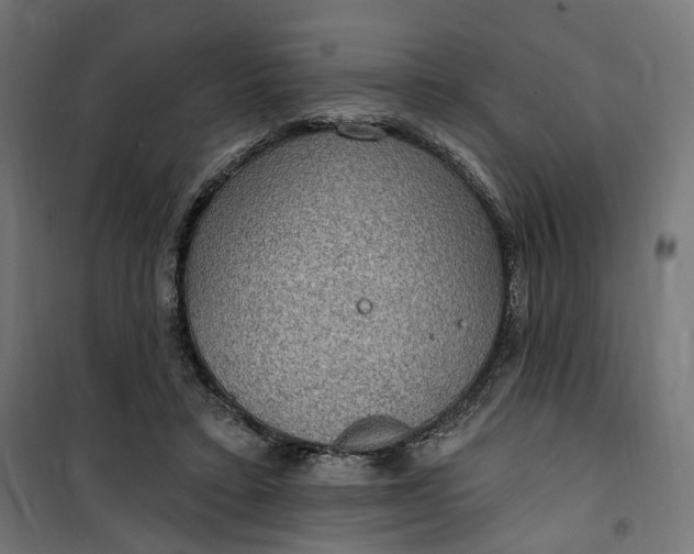 X0000100500403200806201719