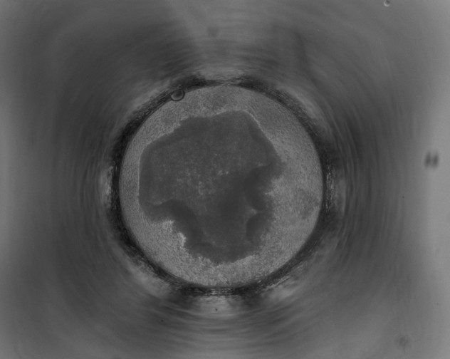 X0000100500404200806201719