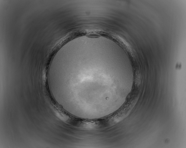 X0000100500405200806201719