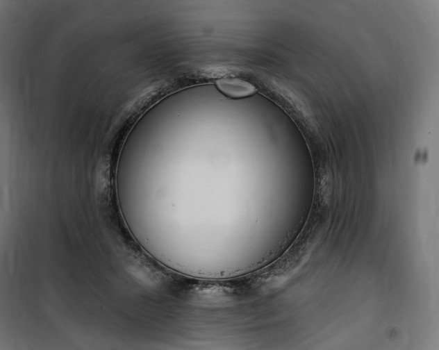 X0000100500407200806201719