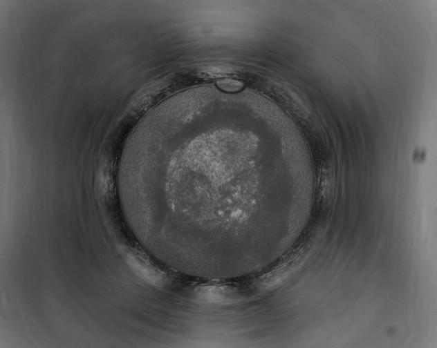 X0000100500408200806201719