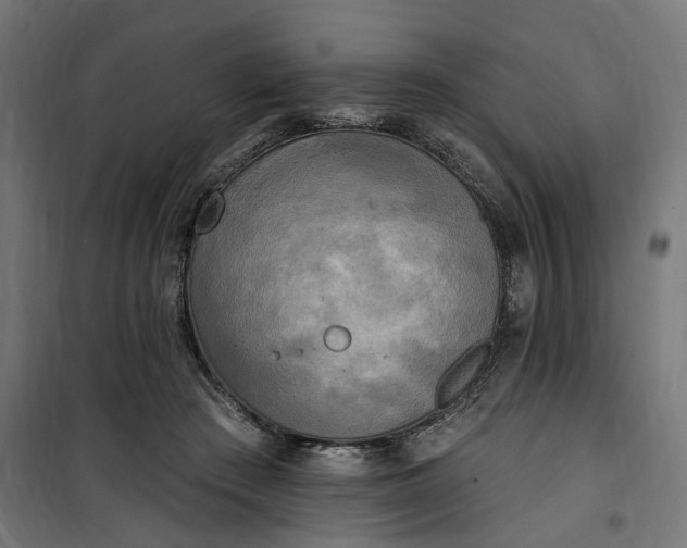 X0000100500409200806201719