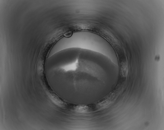 X0000100500410200806201719