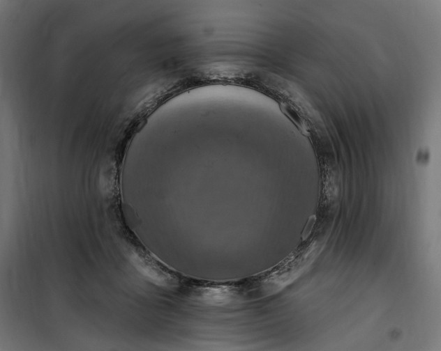 X0000100500411200806201719