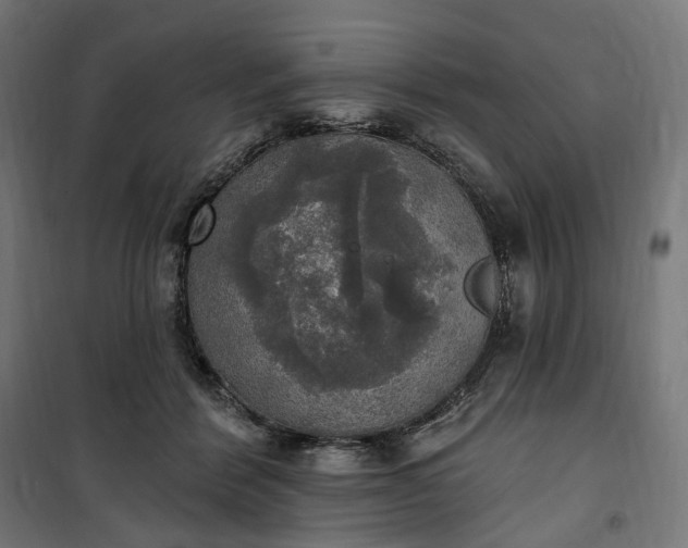 X0000100500412200806201719