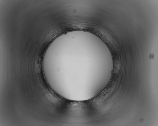 X0000100500414200806201719