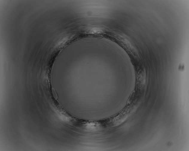 X0000100500415200806201719