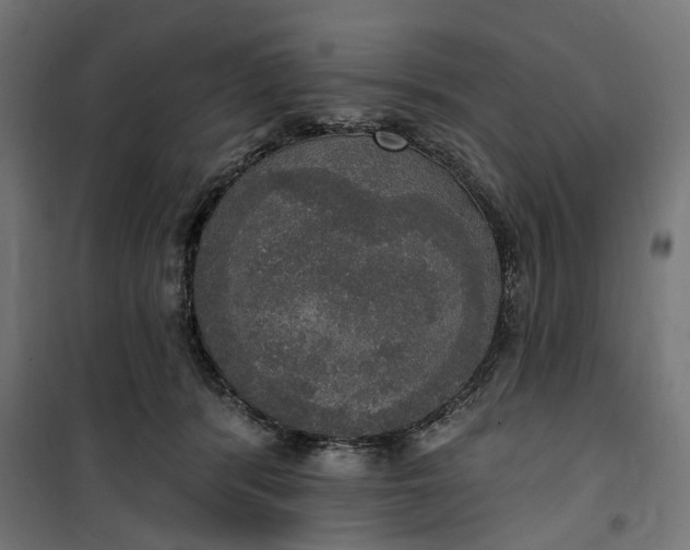 X0000100500416200806201719