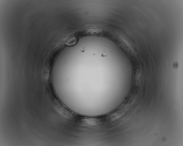 X0000100500417200806201719