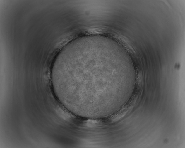 X0000100500418200806201719