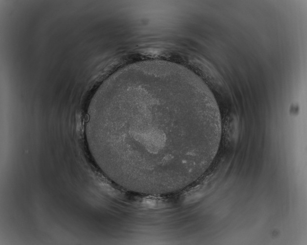 X0000100500420200806201719