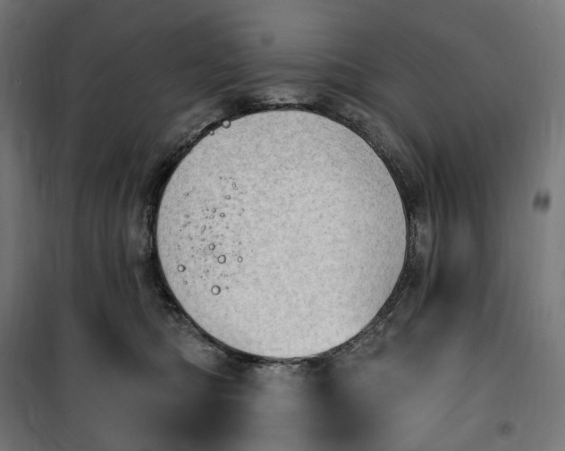 X0000100500422200806201719