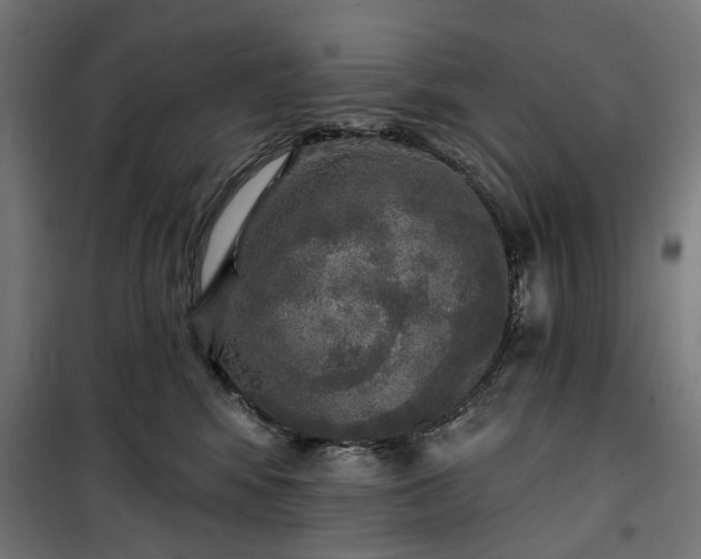 X0000100500424200806201719