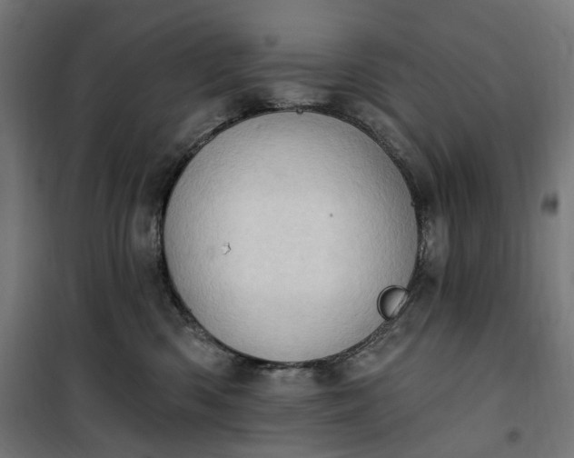 X0000100500426200806201719