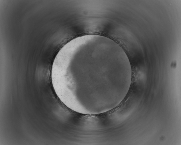 X0000100500427200806201719