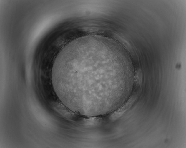 X0000100500430200806201719