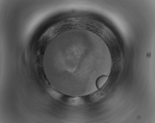 X0000100500431200806201719