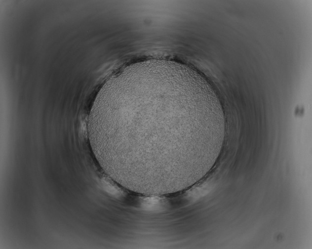 X0000100500432200806201719