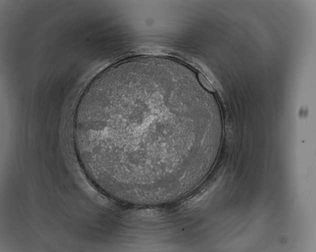 X0000100500433200806201718