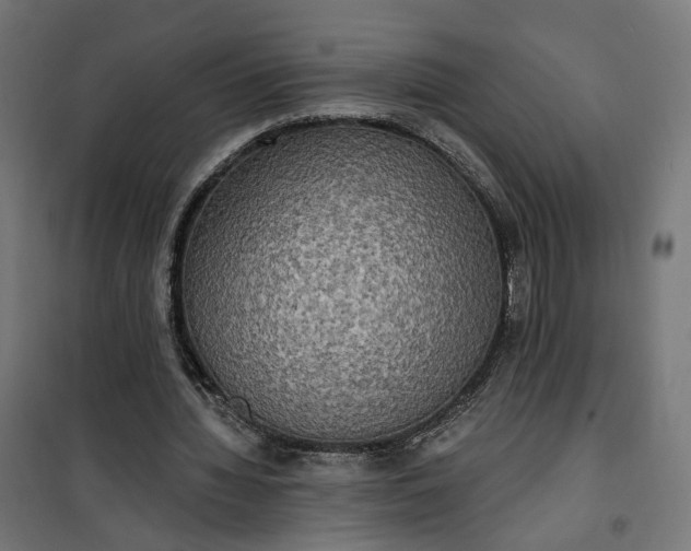 X0000100500436200806201718