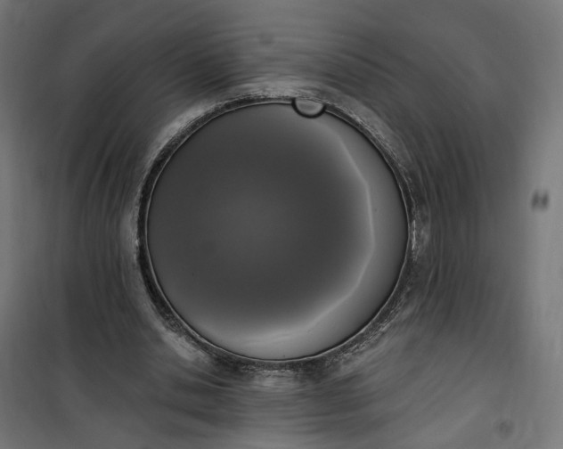 X0000100500438200806201718