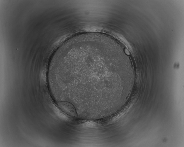 X0000100500441200806201718