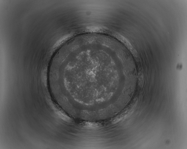 X0000100500442200806201718