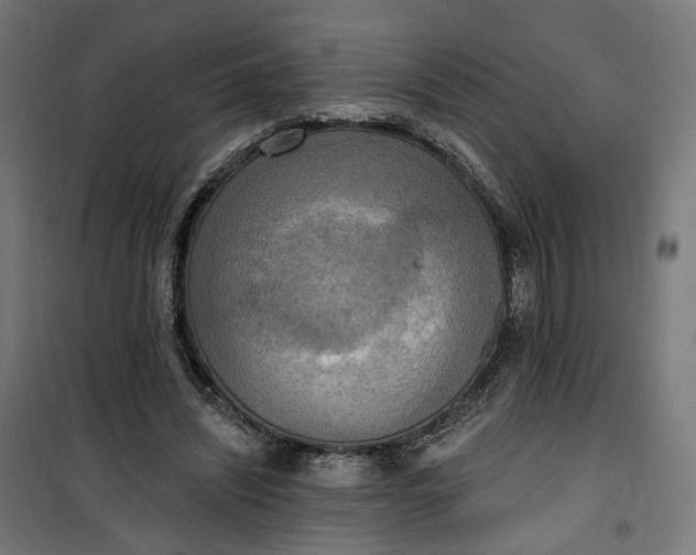 X0000100500444200806201718