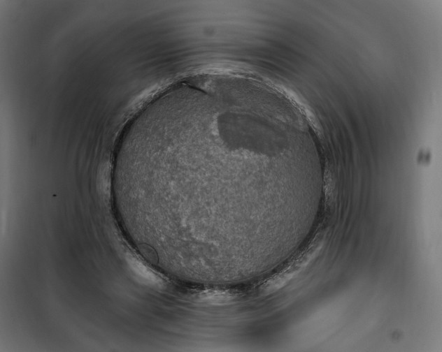 X0000100500445200806201718