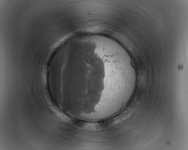 X0000100500446200806201718