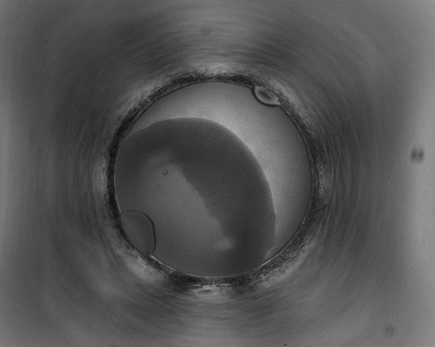 X0000100500447200806201718