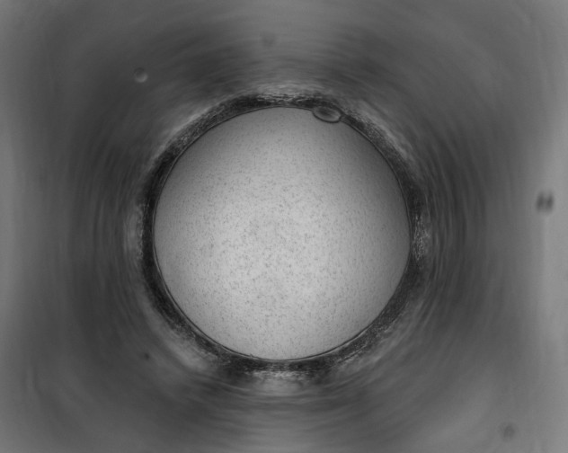 X0000100500448200806201718