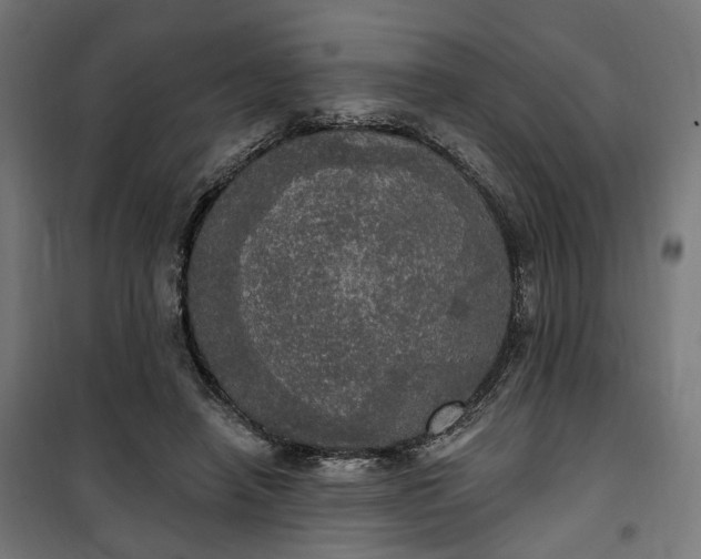 X0000100500450200806201718