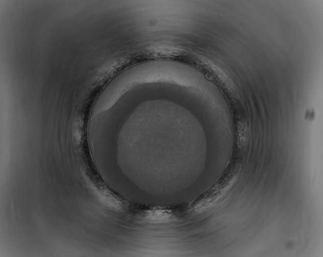 X0000100500451200806201718