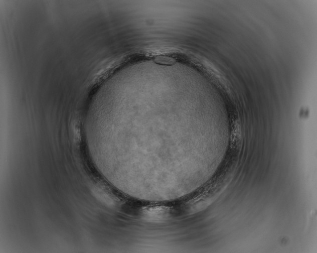 X0000100500452200806201719