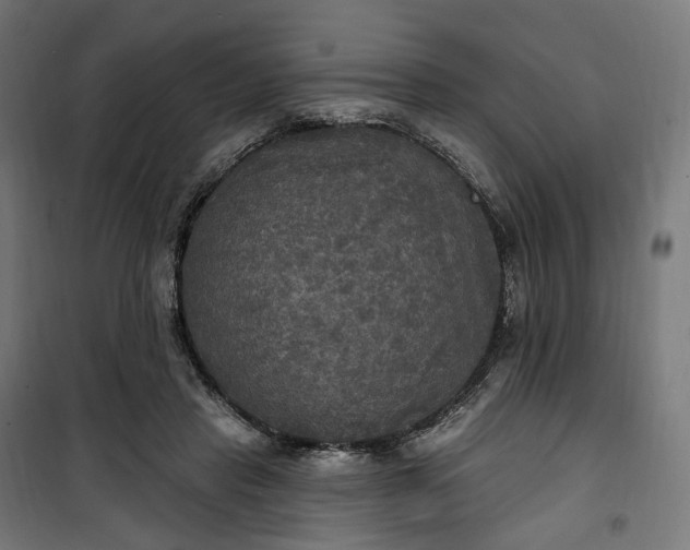 X0000100500453200806201719