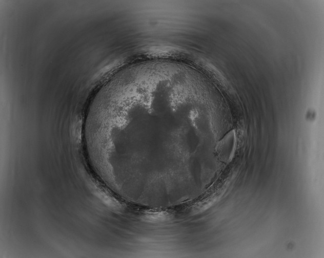 X0000100500454200806201719