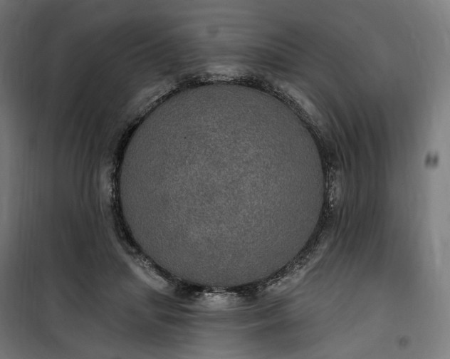 X0000100500455200806201719