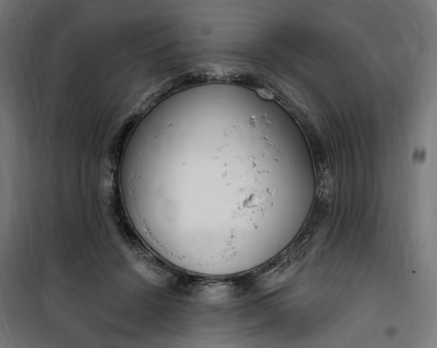 X0000100500456200806201719