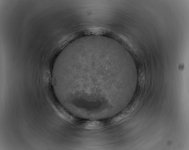 X0000100500459200806201719