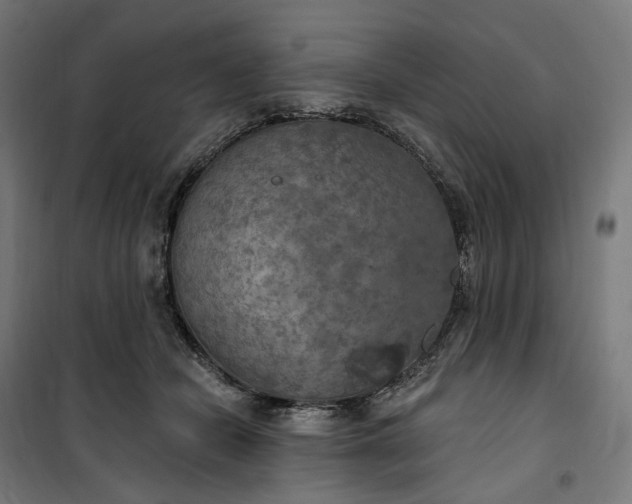 X0000100500462200806201719