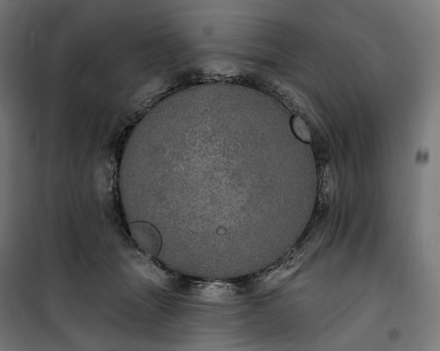 X0000100500463200806201719