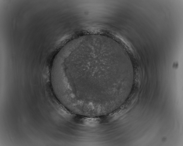 X0000100500465200806201719