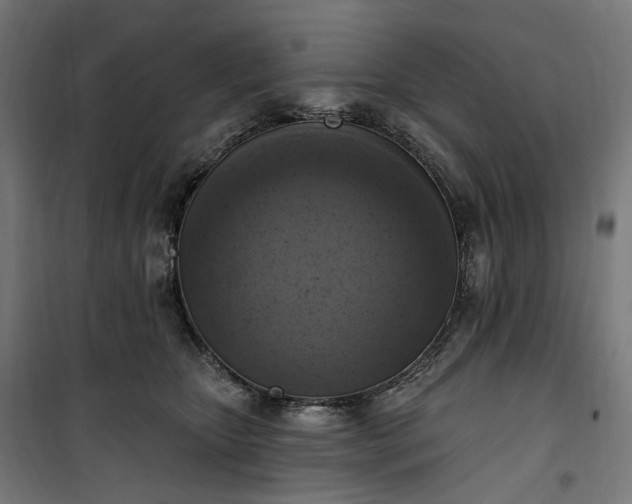 X0000100500467200806201719