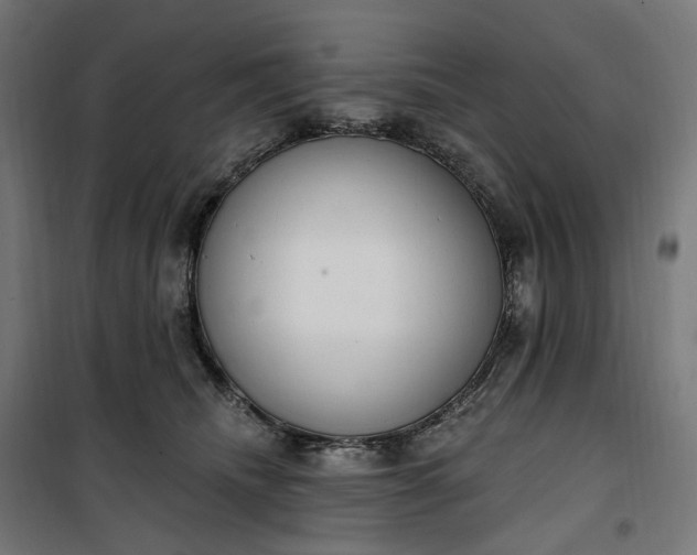 X0000100500468200806201719